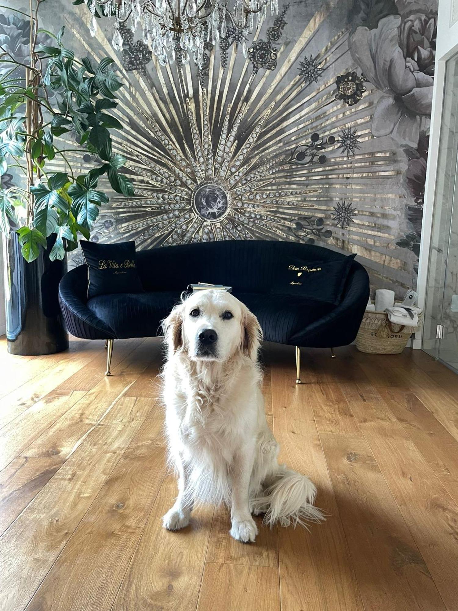 Ca' Squero911 Luxury Rooms 切塞纳蒂科 外观 照片