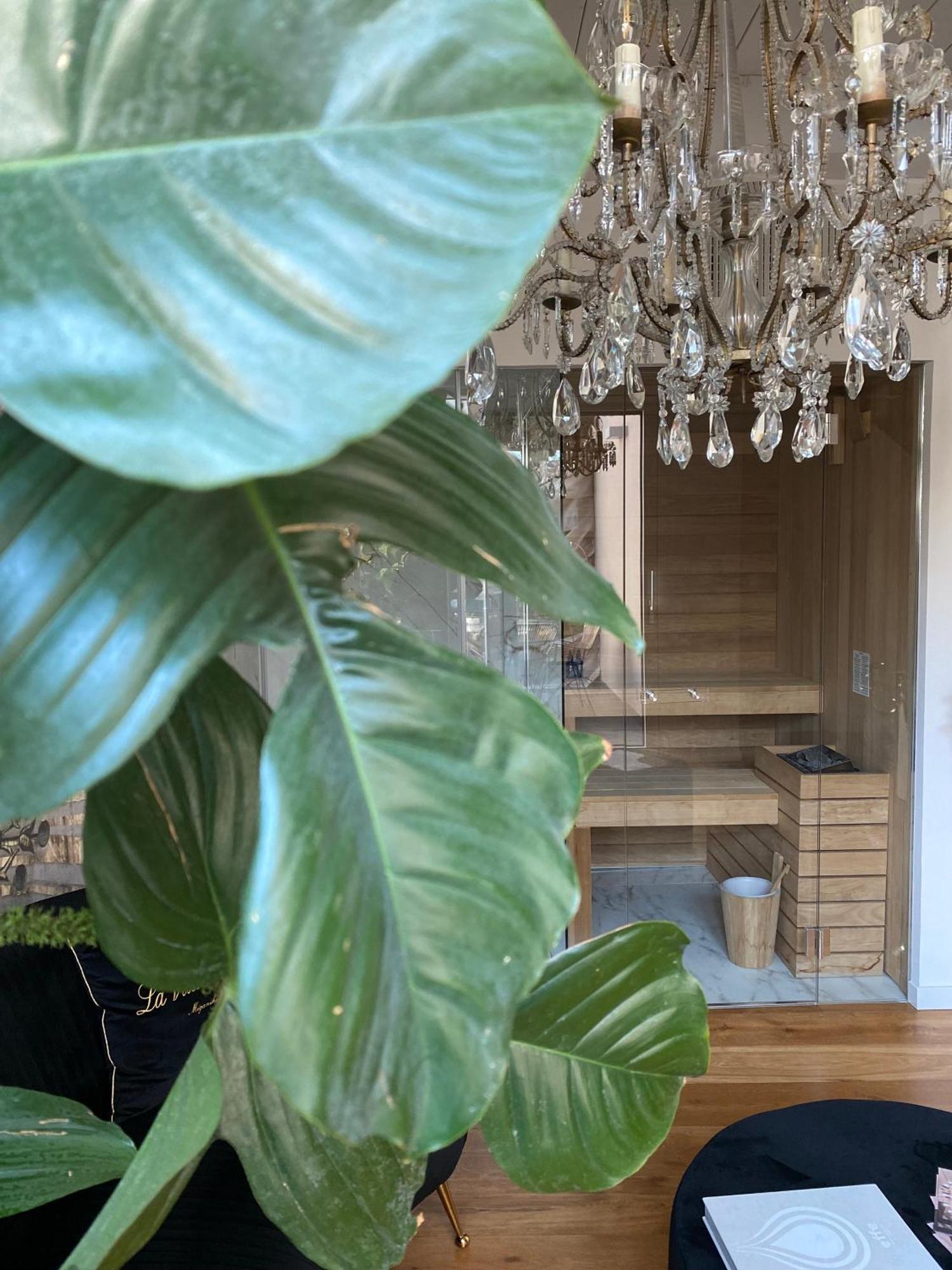 Ca' Squero911 Luxury Rooms 切塞纳蒂科 外观 照片