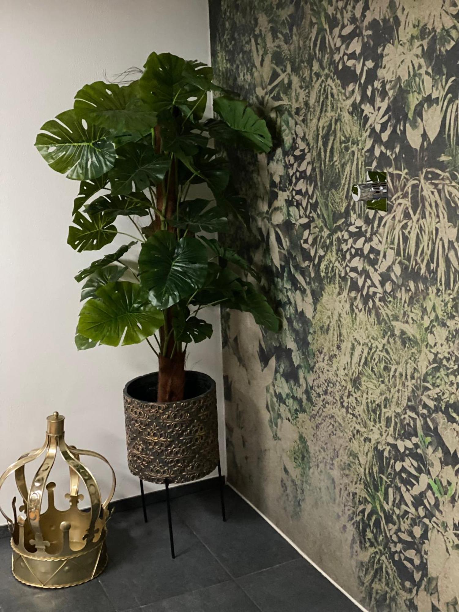 Ca' Squero911 Luxury Rooms 切塞纳蒂科 外观 照片